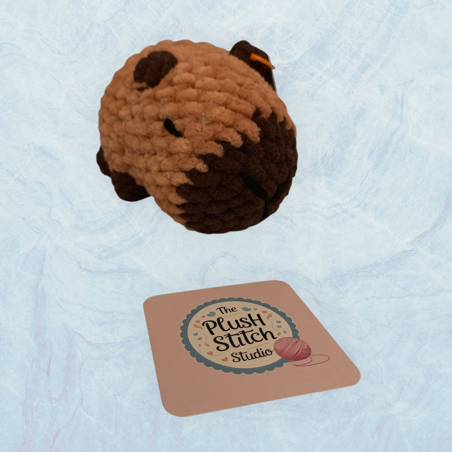 Solano Driftwood the Capybara