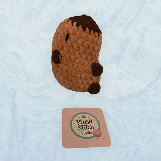 Solano Driftwood the Capybara